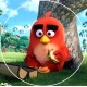 R19ABM1 Vafa rotunda Angry birds D19cm